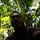Alvin Putra S.