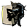 Arcas