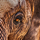 PostgreSQL Blog