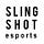 SLINGSHOT esports