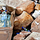 Beirut After the Explosion: The Effects on the Cultural Heritage and the Museums