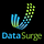 data-surge