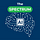 The AI Spectrum