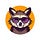 reviewraccoon
