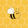 The Be a Bee Project