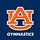 Auburn Tigers gymnastics