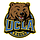 Bruins in Tech