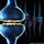 tDCS and Neurodynamics