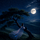 Moonlit Letters ࿐
