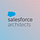 Salesforce Architects