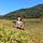 Donnesha Lyngdoh