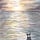 How to Paint in Watercolour