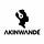 The Akinwande Brand