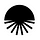 Scalar Field