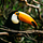 iamarn10