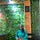 Naomi Agba