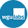 wgu labs design