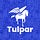 Tulpar Community Labs
