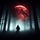 Shadow Tales