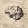 Brain On Paper