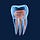 Root Canal aPro