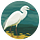 The Crypto Researcher