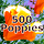 500 Poppies