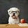 Smart Dog Zone