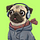BWenz The Pug 🐾 Pawspectives