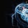 Product Design and Psychology