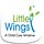 Little Wings Holistic Childhood Center