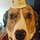 Jack P