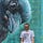 Tiny Tim - street art hunter from Antwerp