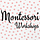 Montessori Workshops