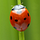 Bug Bounty