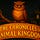 The Chronicles of Animal Kingdom