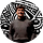 Shubham Singh