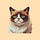 GRUMPYKAT