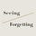 Between Seeing and Forgetting