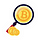 CryptoZoom