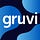 Gruvi Insights