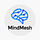 The MindMesh