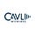Cavli Wireless