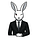 AI Rabbit