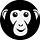 Bonoboz Blog