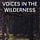 Voices in the Wilderness Journal