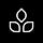 Thrive Protocol
