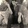 Desiree Calderon de Fawaz