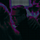 WhiskeyNeon