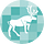 Caribou Data